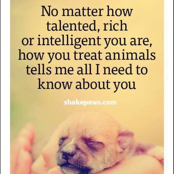 Meet your Posher, M J - Picture 5 of 8